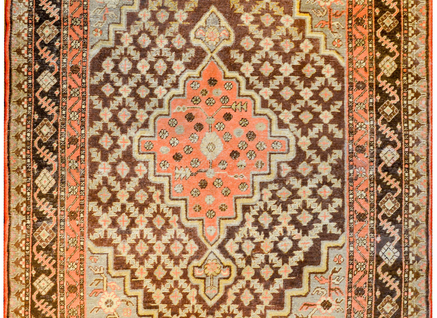 Early 20th Century Central Asian Samarghand Rug For Sale