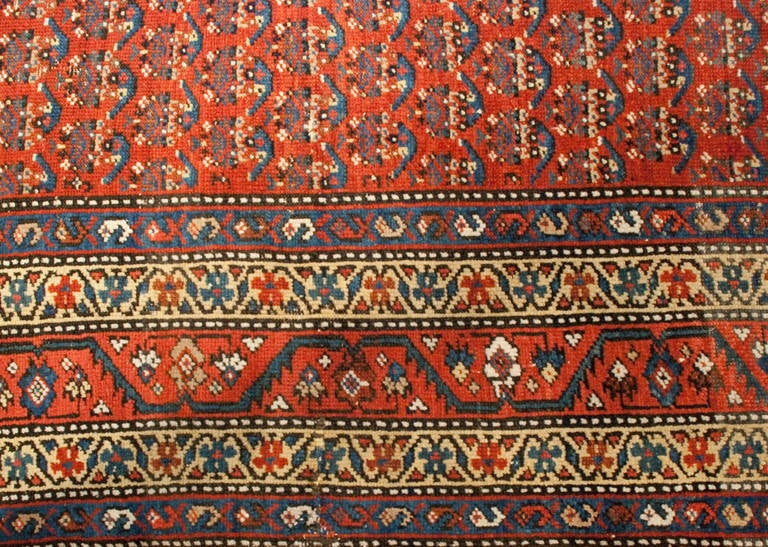 19th Century Afshar Rug For Sale