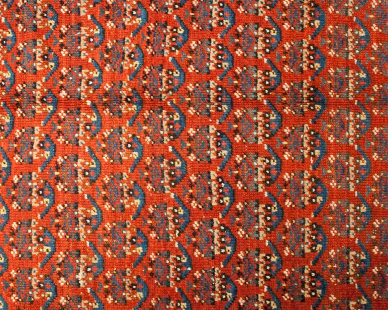19th Century Afshar Rug For Sale