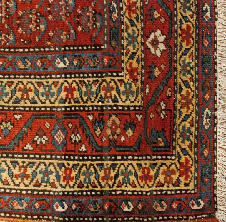 19th Century Afshar Rug For Sale
