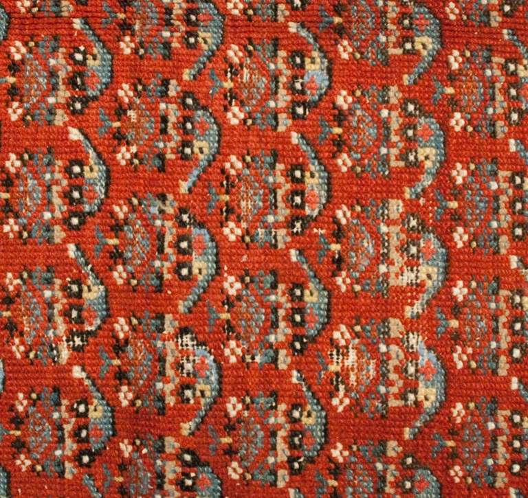 19th Century Afshar Rug For Sale