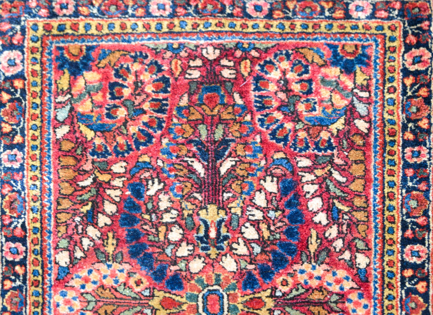 Early 20th Century Sarouk Rug For Sale