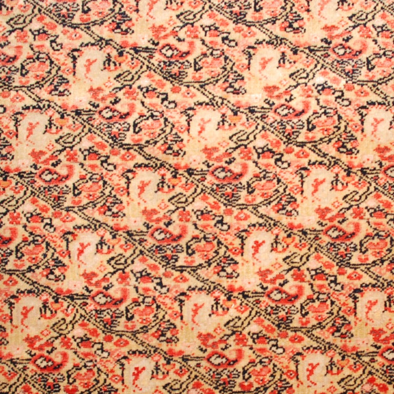 19th Century Senneh Carpet For Sale