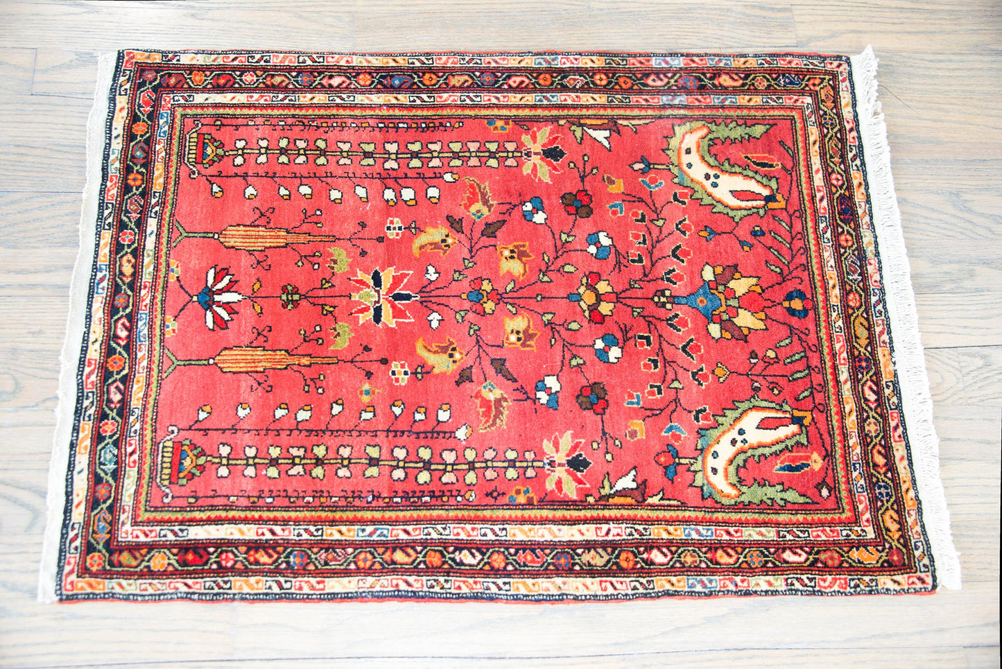 Early 20th Century Persian Sarouk Farahan Rug For Sale