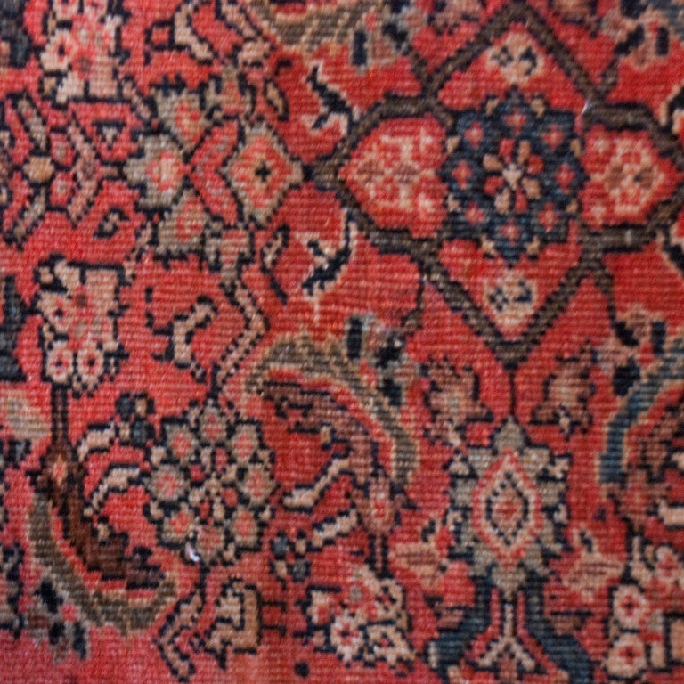 19th Century Saruk Farahan Carpet For Sale