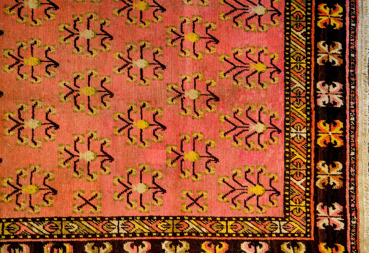 Unusual Mid 20th Century Khotan Rug For Sale