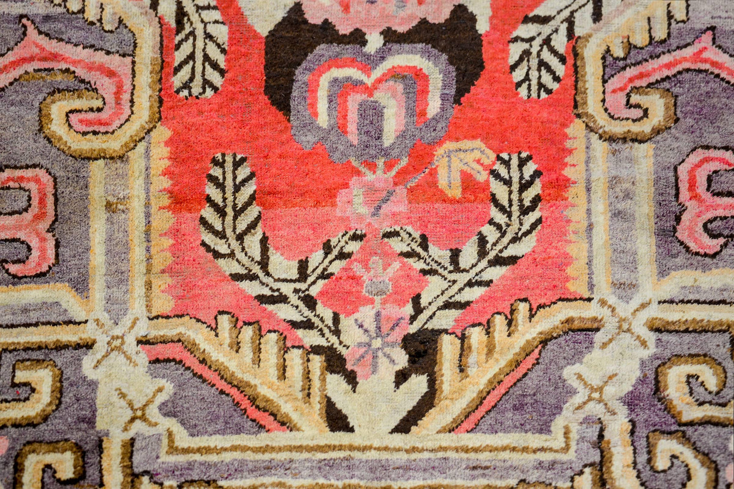 Extraordinary Early 20th Century Asian Khotan Rug For Sale