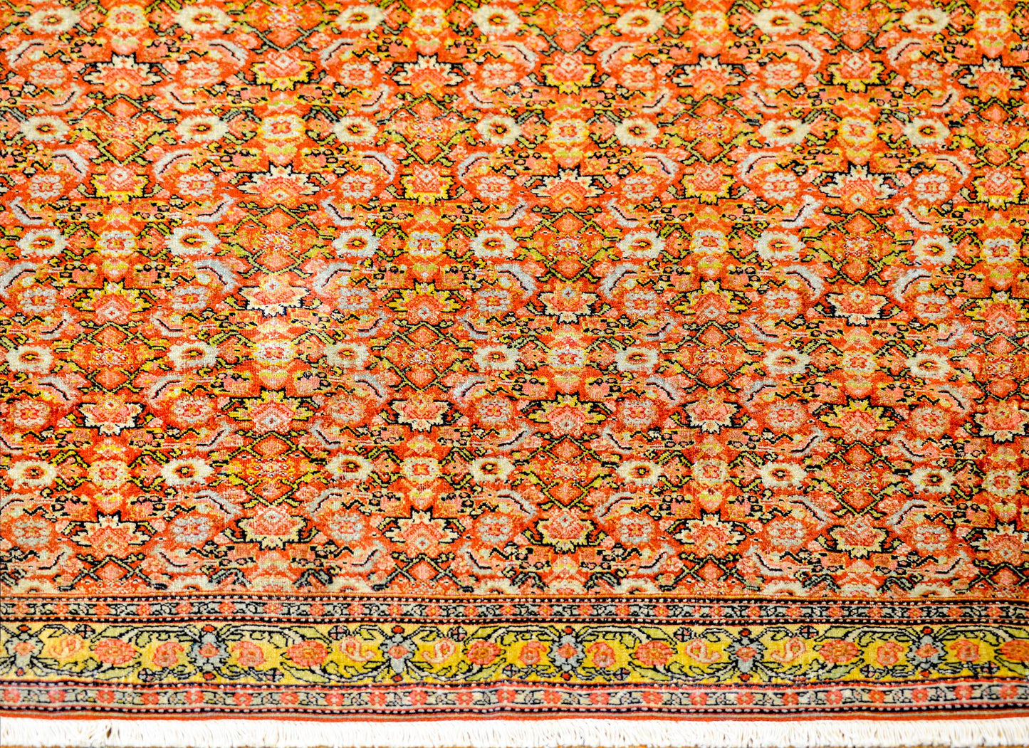 Incredible Early 20th Century Senneh Rug For Sale
