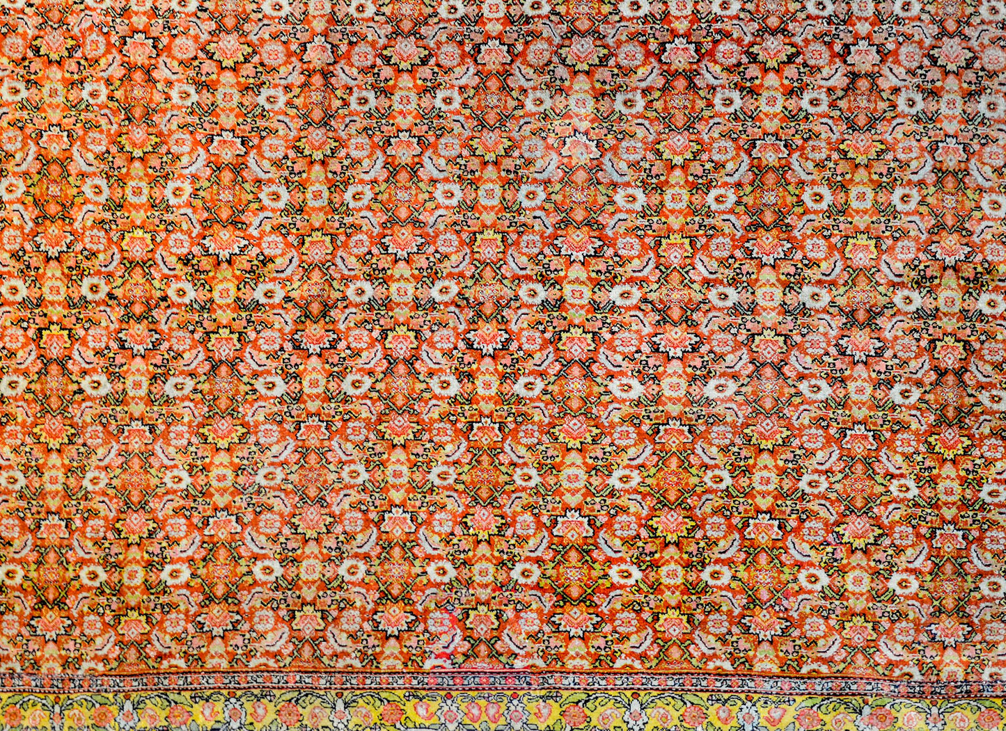 Incredible Early 20th Century Senneh Rug For Sale