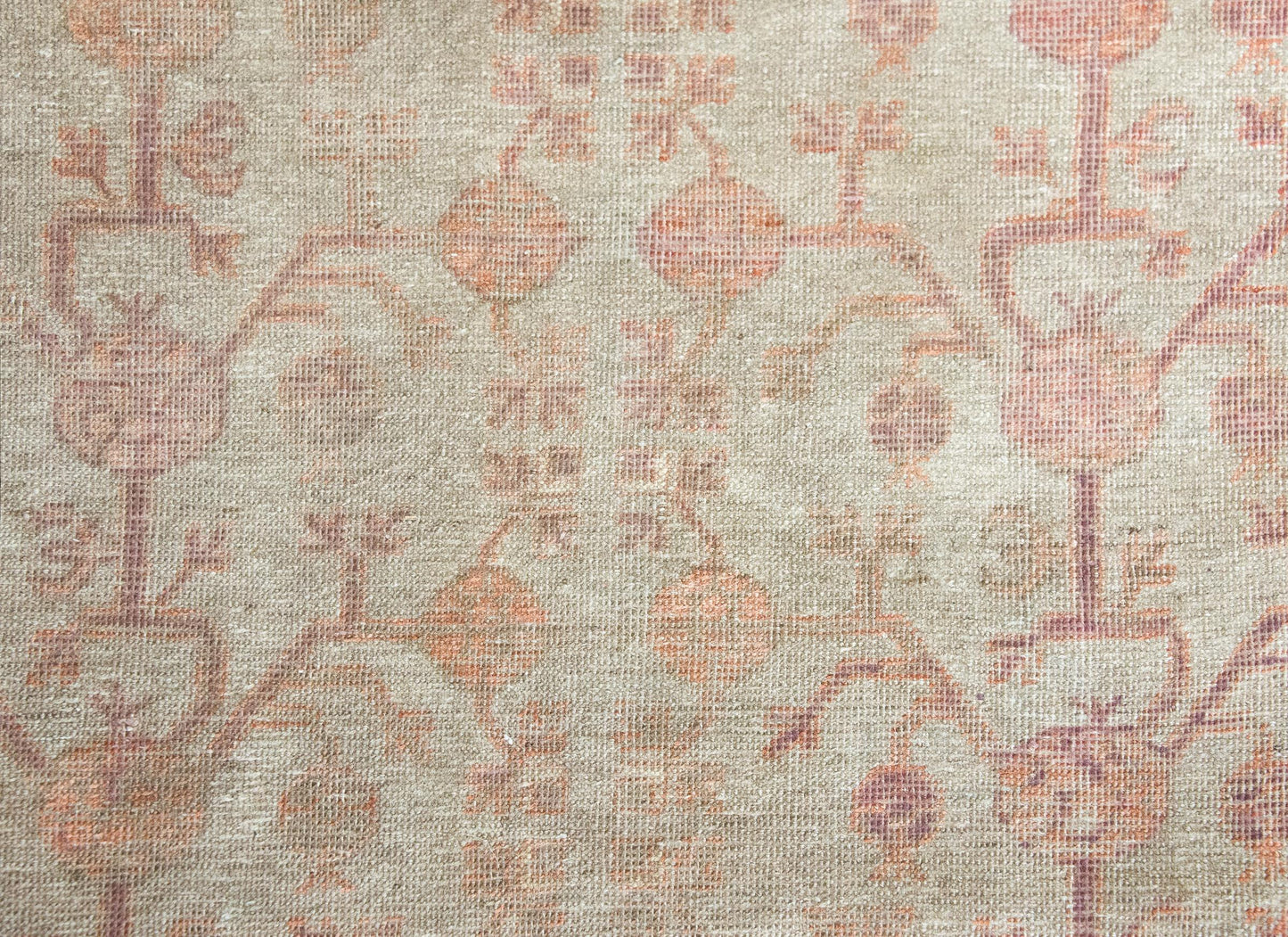 Early 20th Century Central Asian Khotan Rug For Sale