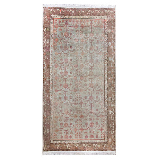 Early 20th Century Central Asian Khotan Rug For Sale