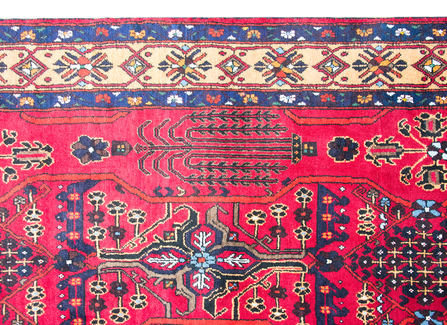 Mid 20th Century Anatolian Turkish Rug For Sale