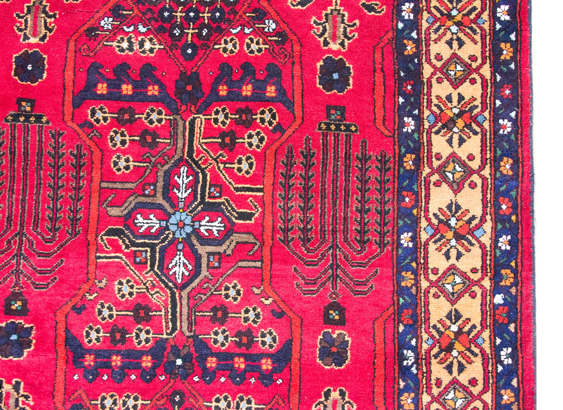 Mid 20th Century Anatolian Turkish Rug For Sale