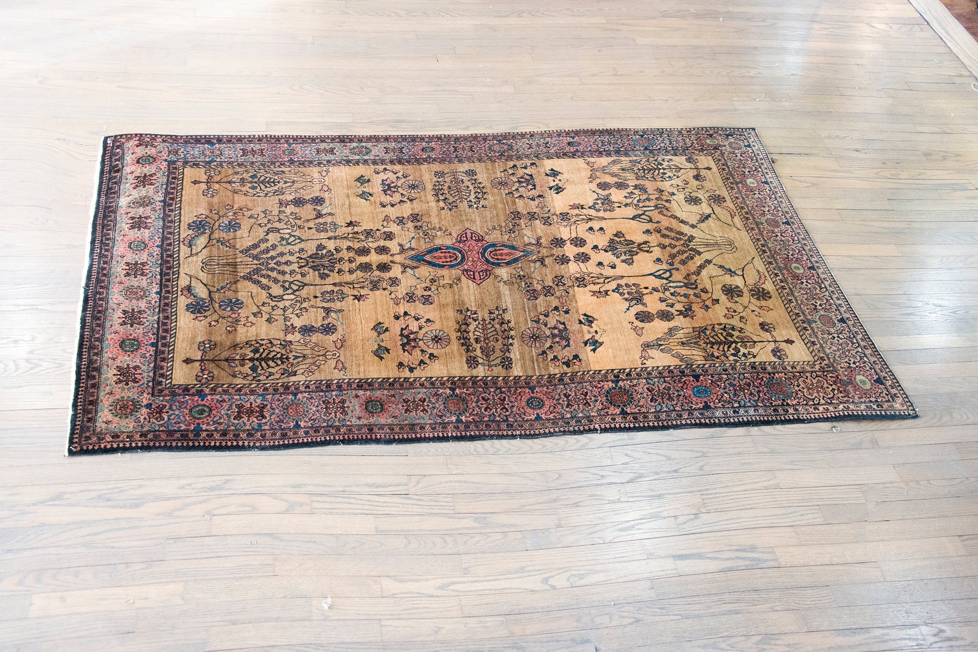 Late 19th Century Persian Sarouk Farahan Rug For Sale