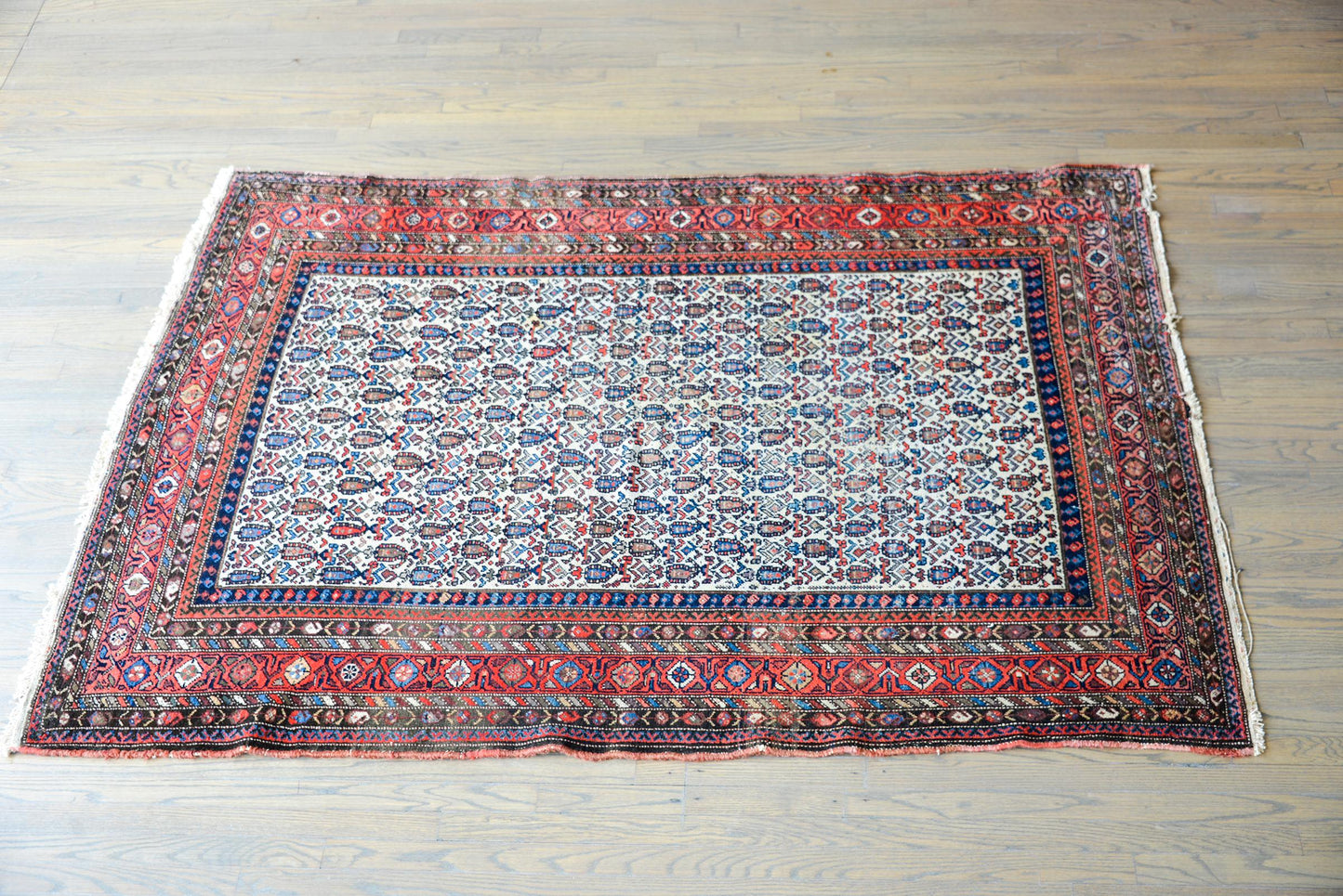Early 20th Century Nehaband Rug For Sale