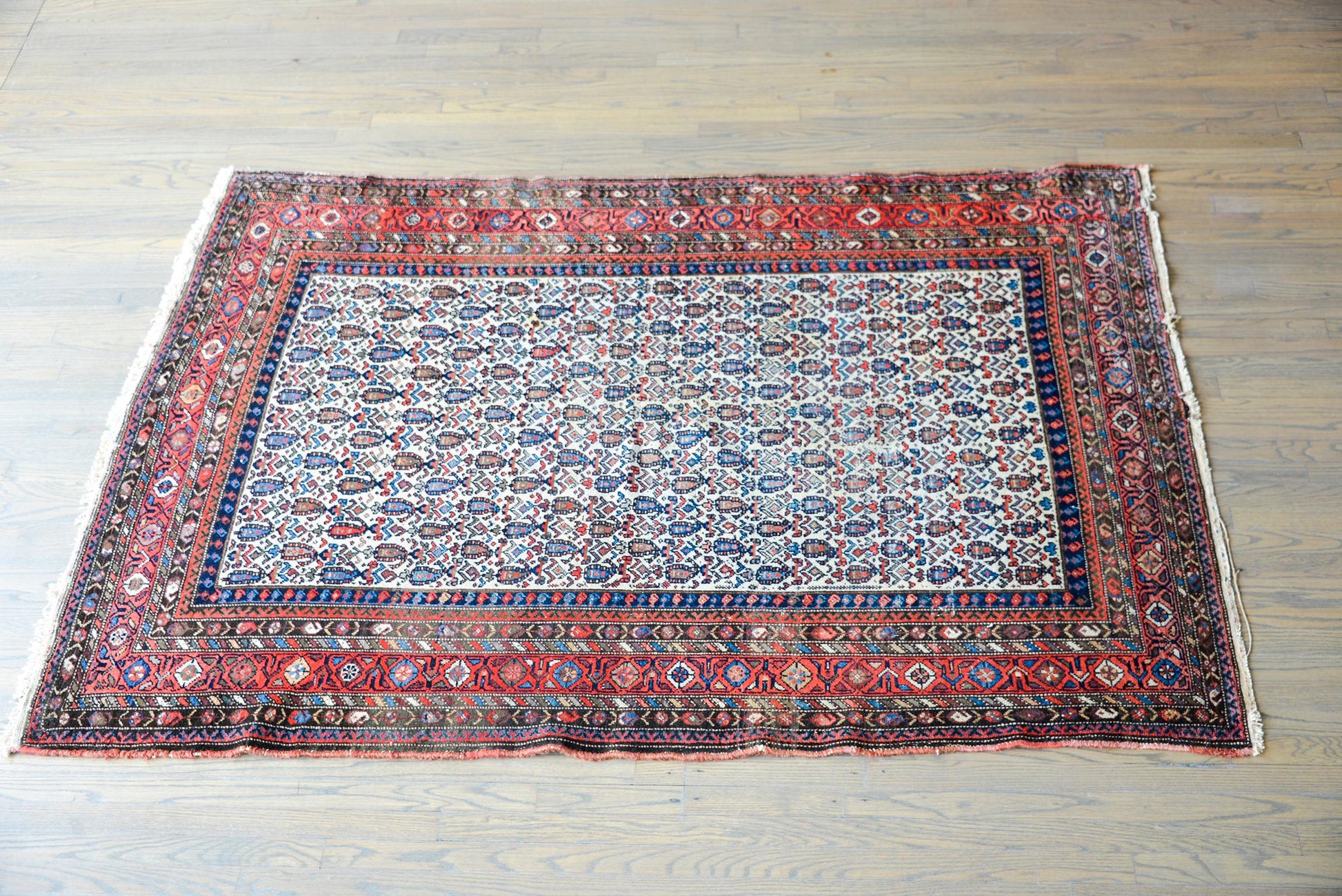 Early 20th Century Nehaband Rug For Sale