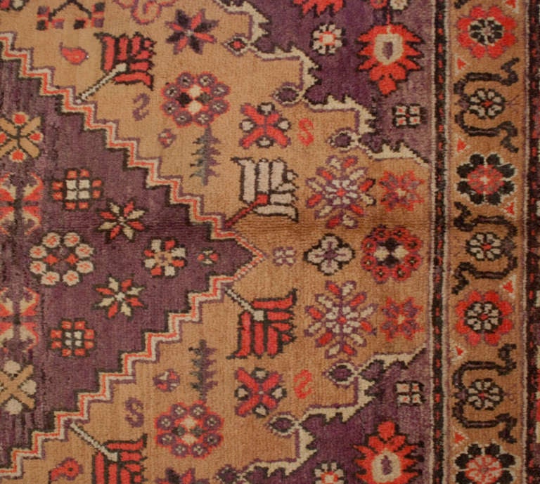 Early 20th Century Khotan Rug For Sale