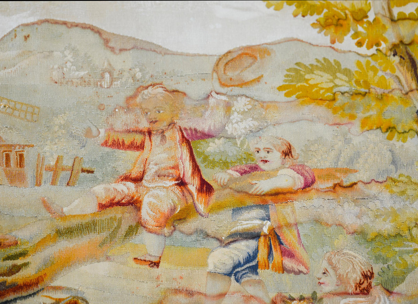 19th Century French Aubusson Rug For Sale