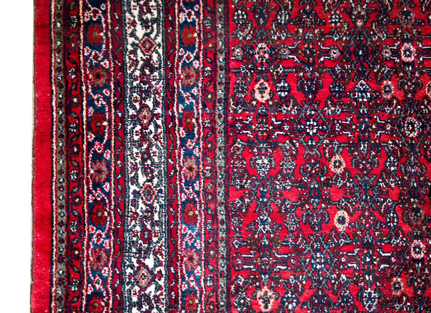Early 20th Century Persian Bibikibad Rug For Sale
