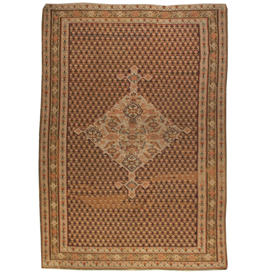 Earl 20th Century Senneh Kilim Rug For Sale