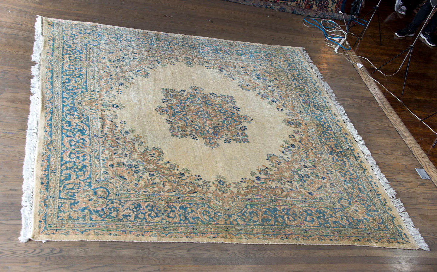 Early 20th Century Persian Kirman Rug For Sale