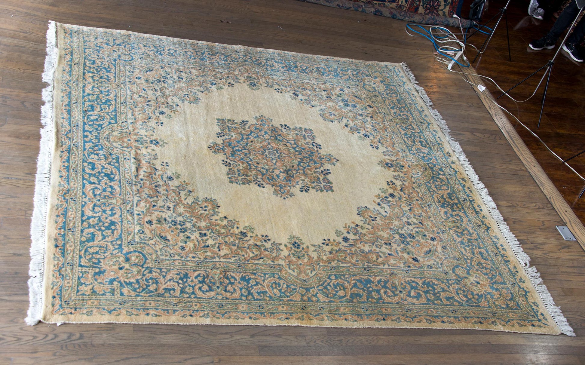 Early 20th Century Persian Kirman Rug For Sale
