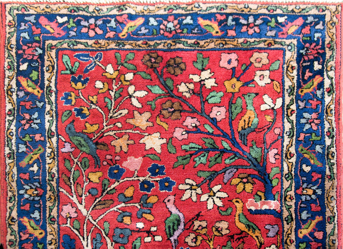 Mid-20th Century German Tetex Rug For Sale