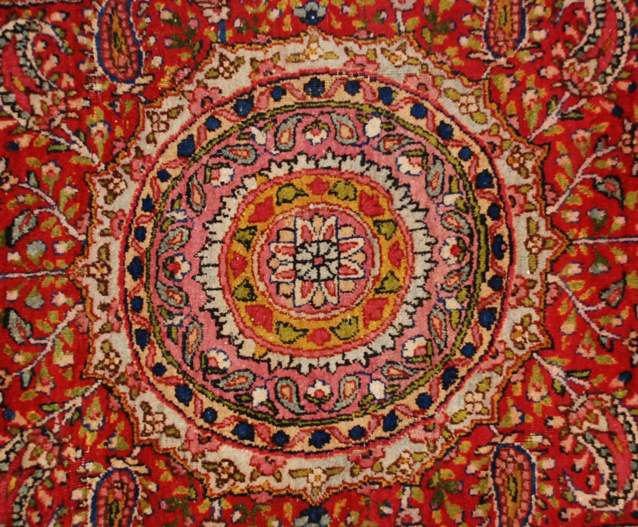Early 20th Century Kirman Rug For Sale