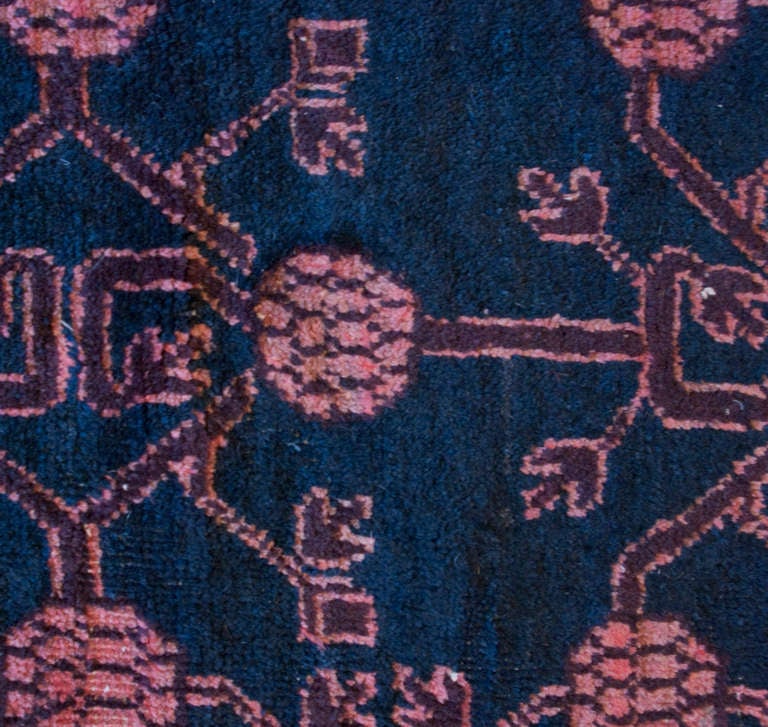 Early 20th Century Khotan Rug For Sale