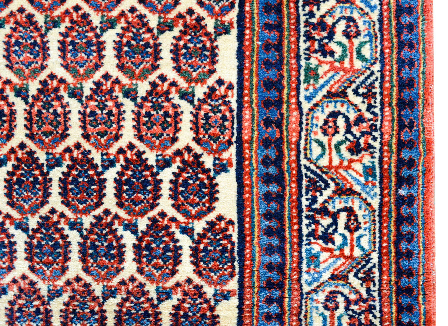 Early 20th Century Seraband Rug For Sale
