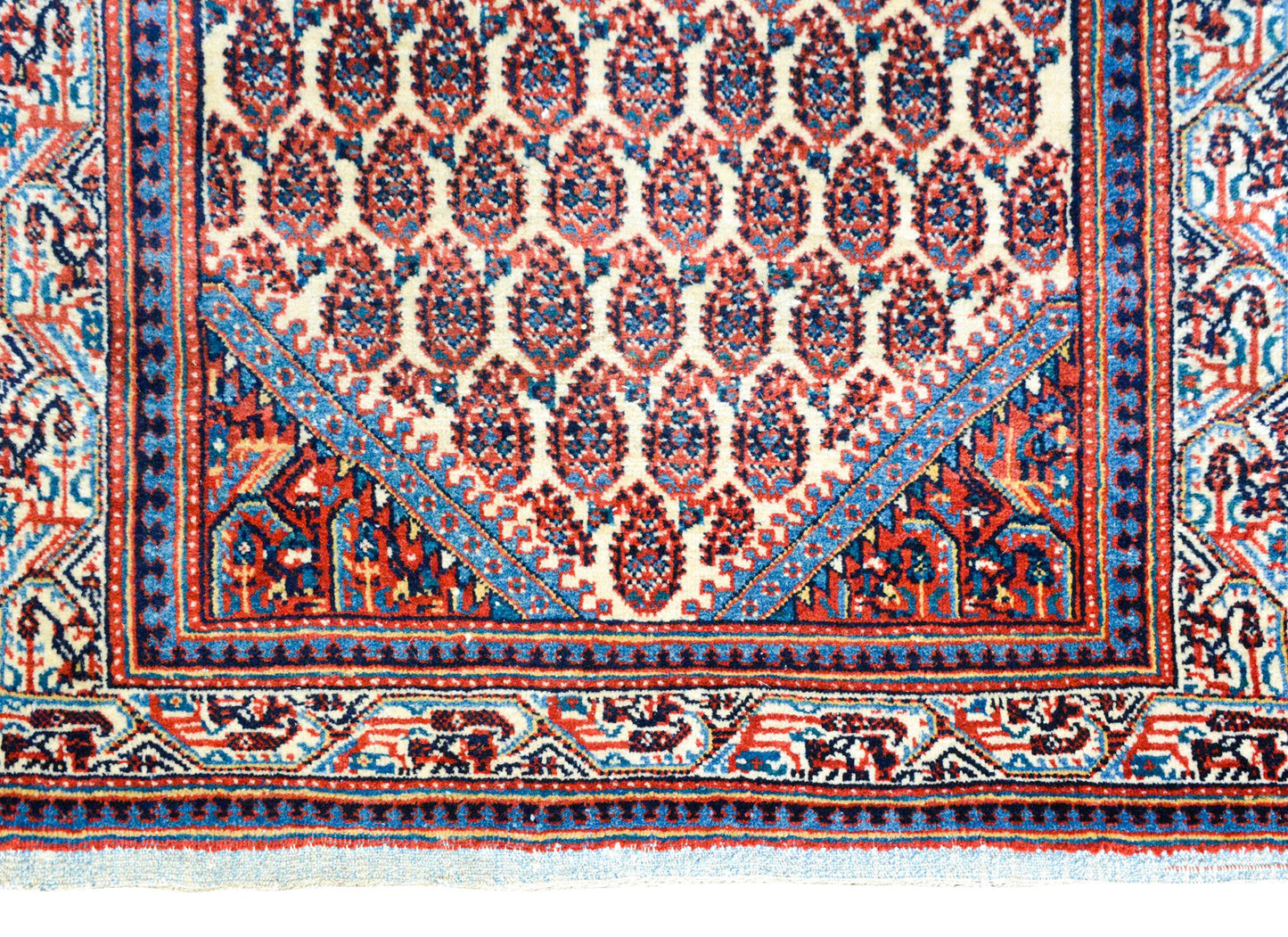 Early 20th Century Seraband Rug For Sale