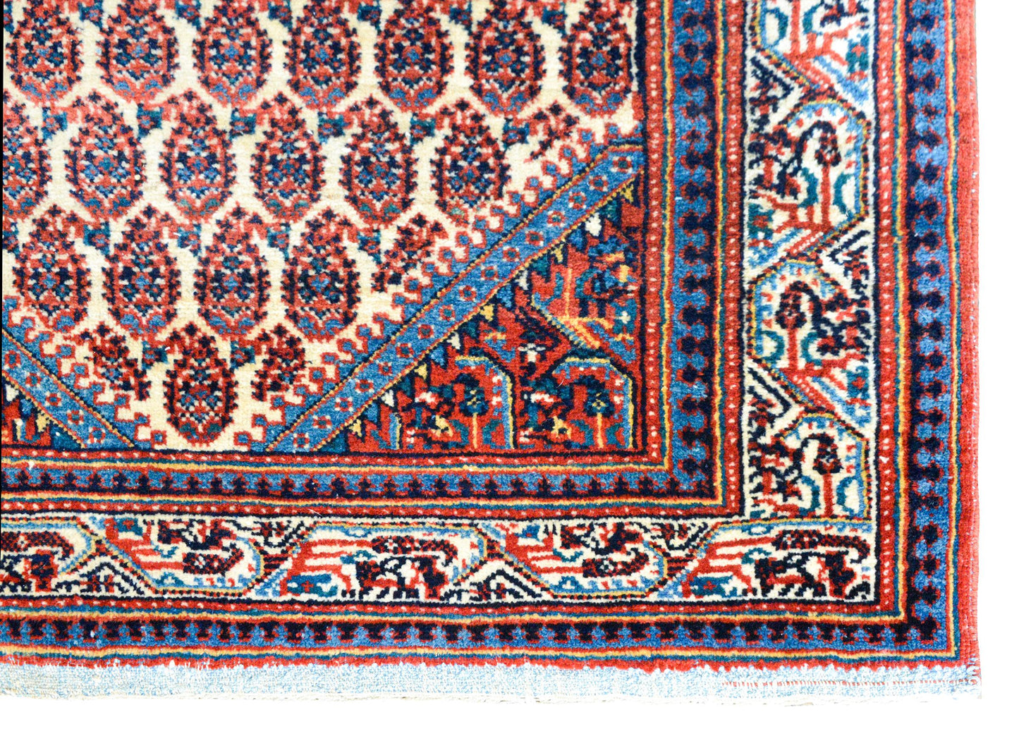 Early 20th Century Seraband Rug For Sale