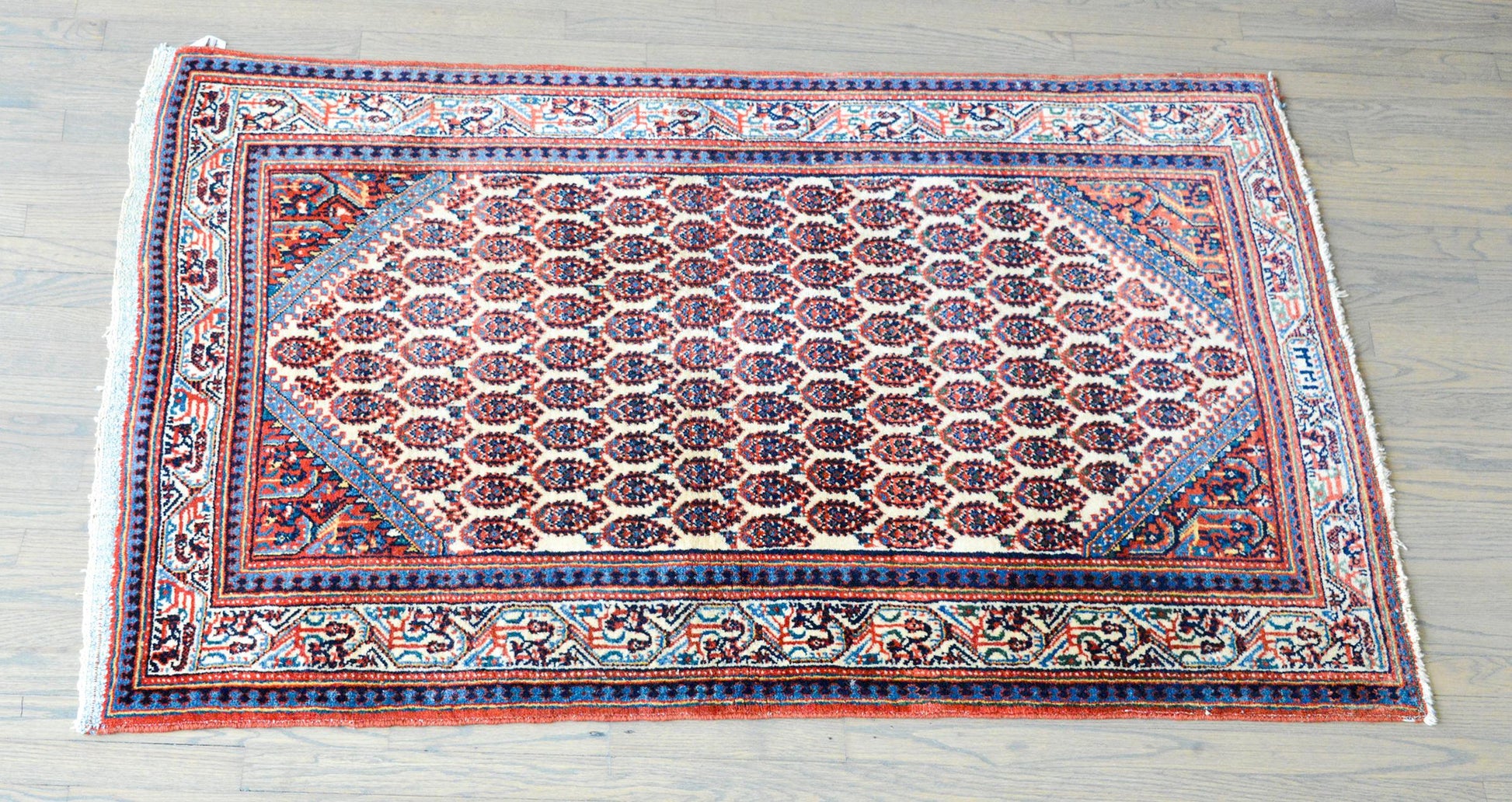 Early 20th Century Seraband Rug For Sale