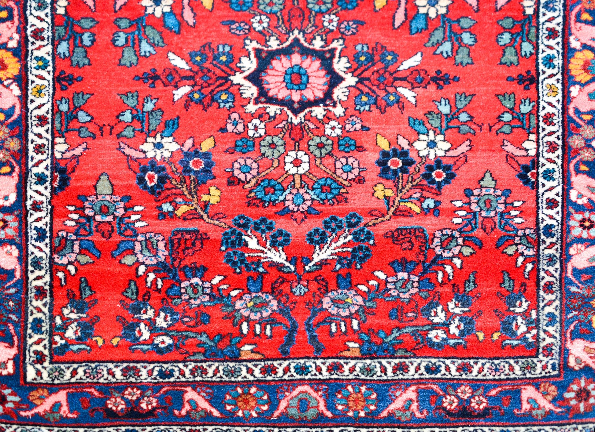 Early 20th Century Dargazin Rug For Sale